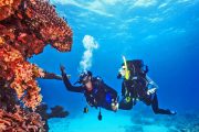 scube-diving