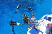 intro-diving-tiran