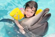 Swim-With-Dolphins