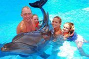 Swim-With-Dolphins