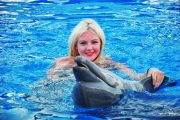 Swim-With-Dolphins-Sharm