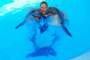 Swim-With-Dolphins-Sharm-El-Sheikh
