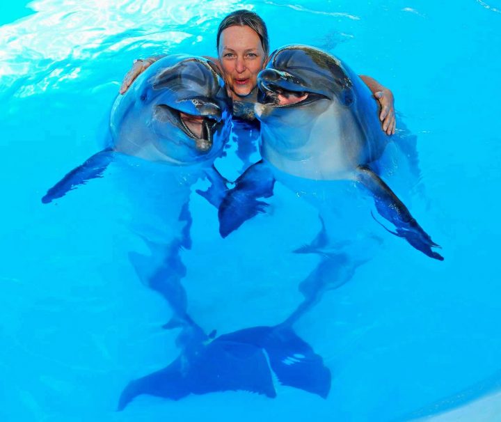 Swim-With-Dolphins-Sharm-El-Sheikh